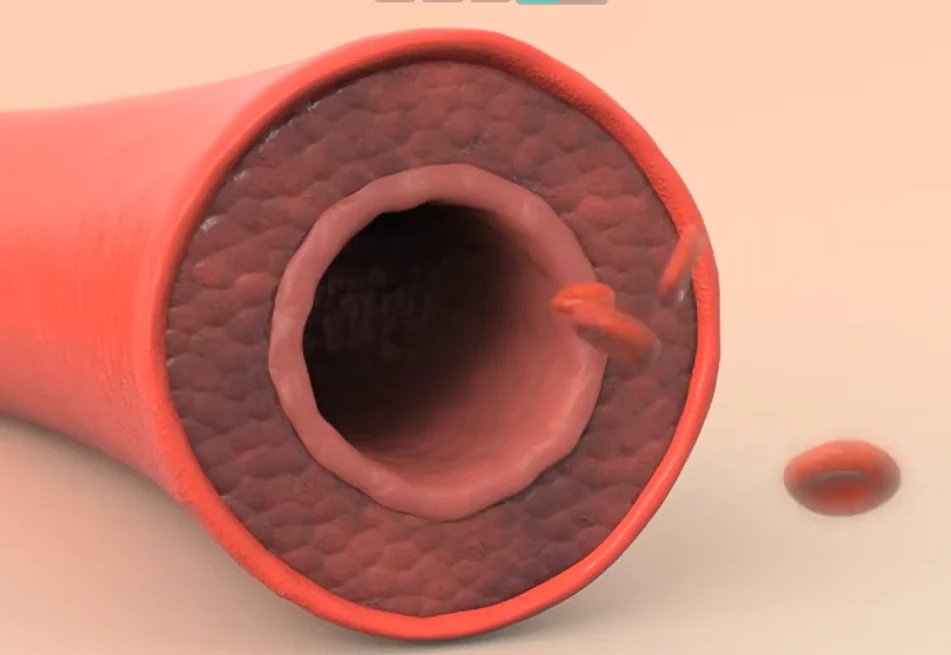 Penile blood flow before
