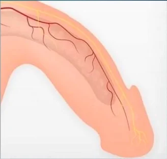 Viagra treatment